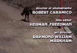 Сцена из фильма Отважные доберманы / The Daring Dobermans (1973) 
