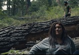 Фильм Тот, кто смотрит / Stranger in the Woods (2024) - cцена 3