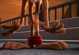 Сцена из фильма Безумные мелодии: Дорожный бегун и койот / Looney Tunes: Road Runner & Coyote Theatrical cartoons (2010) 