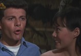 Сцена из фильма Как справиться с диким бикини / How to Stuff a Wild Bikini (1965) Как справиться с диким бикини сцена 1