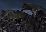 Сцена из фильма Тотем волка / Wolf Totem (2015) Тотем волка сцена 7