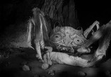 Сцена из фильма Атака Крабов-Монстров / Attack of the Crab Monsters (1957) Атака Крабов-Монстров сцена 1