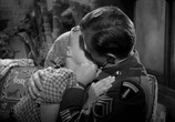 Сцена из фильма Любовное гнездышко / Love Nest (1951) Любовное гнездышко сцена 1