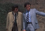 Сцена из фильма Коломбо: Смерть в оранжерее / Columbo: The Greenhouse Jungle (1972) Коломбо: Смерть в оранжерее сцена 3