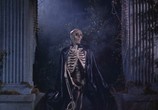 Сцена из фильма Оргия мертвецов / Orgy of the Dead (1965) Оргия мертвецов сцена 6