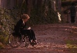 Сцена из фильма Любовный роман / Love Affair (1994) Любовный роман сцена 13