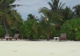 Сцена из фильма Мальдивы: Впечатления. Великолепные острова / Malediven: HD Impressionen Traumhafter Inseln (2011) Мальдивы: Впечатления. Великолепные острова сцена 12