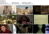 Сцена из фильма National Geographic: Одиссея Нефертити / National Geographic: Nefertiti's Odyssey (2007) National Geographic: Одиссея Нефертити сцена 1