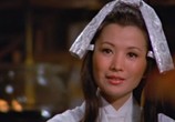 Сцена из фильма Клан убийц / Liu xing hu die jian (Killer Clans) (1976) Кланы убийц / Клан убийц сцена 2