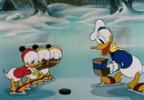Мультфильм Рождество Дональда Дака - Избранное (1935 - 1951) / Donald Duck's Christmas Favorites (1935 - 1951) (1935) - cцена 6