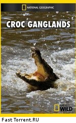 National Geographic : Крокодильи разборки