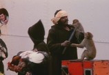 Сцена из фильма Геката / Hécate (1982) Геката сцена 2