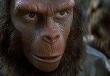Сцена из фильма Планета обезьян 5: Битва за планету обезьян / Battle for the Planet of the Apes (1973) Планета обезьян 5: Битва за планету обезьян сцена 2