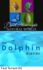 BBC: Наедине с природой: Дневник дельфина