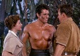 Сцена из фильма Смертельная схватка Тарзана / Tarzan's Fight for Life (1958) Смертельная схватка Тарзана сцена 2