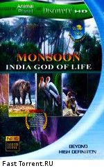 Discovery: Дикая Азия: Муссон бог жизни