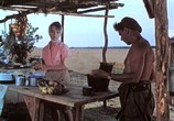 Сцена из фильма Стряпуха (1966) Стряпуха сцена 3