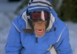 Сцена из фильма Король сноуборда / MXP: Most Xtreme Primate (2004) Король сноуборда сцена 3