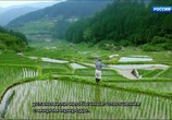 Сцена из фильма Живая природа Японии / Japan: Earth's Enchanted Islands (2015) Живая природа Японии сцена 1
