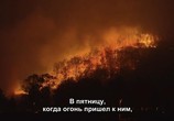Сцена из фильма Австралия в огне / Australia Burning (2020) Австралия в огне сцена 3