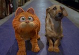 Фильм Гарфилд: Дилогия / Garfield: Dilogy (2004) - cцена 4