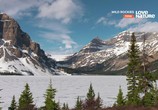 Сцена из фильма Дикие Скалистые горы / Wild Rockies (2016) Дикие Скалистые горы сцена 6
