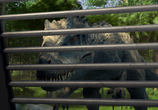 Сцена из фильма Мир юрского периода: Лагерь мелового периода / Jurassic World: Camp Cretaceous (2020) 