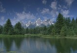 Сцена из фильма Живые Пейзажи: Скалистые Горы / Living Landscapes: Rocky Mountains (2008) 