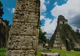 Сцена из фильма BBC: Живой мир (Мир природы): Секреты подземелий майя / Natural World. Secrets of the Maya Underworld (2005) BBC: Мир природы. Секреты подземелий майя сцена 3