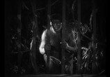 Фильм Остров потерянных душ / Island of Lost Souls (1932) - cцена 2