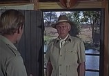 Фильм Последнее сафари / The Last Safari (1967) - cцена 1
