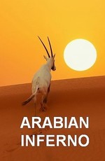 Знойная Аравия