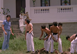 Сцена из фильма Молодой бунтарь / Hou sheng (1975) 