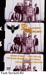 The Black Crowes: Freak' N' Roll... into the Fog