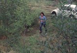 Сцена из фильма Негде скрыться / No Place to Hide (1973) Негде скрыться сцена 17