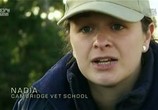 Сцена из фильма Школа ветеринаров / Safari Vet School (2012) Школа ветеринаров сцена 3
