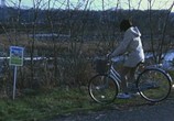 Сцена из фильма Томиэ: Последняя глава – Запретный плод / Tomie: Saishuu-sho - kindan no kajitsu (2002) Томиэ: Последняя глава – Запретный плод сцена 2
