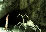 Сцена из фильма Пещера дракона / Dragonquest (2009) Пещера дракона