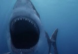 ТВ National Geographic: Доисторические хищники. Акула-чудовище / Prehistoric Predators. Monster Shark (2008) - cцена 1