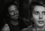 Сцена из фильма Чочара / La ciociara (1960) Чочара сцена 3