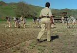 Сцена из фильма Девушки из исправительной колонии / Reform School Girls (1986) Девушки из исправительной колонии сцена 3