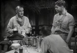 Сцена из фильма Красная пыль / Red Dust (1932) 