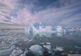Сцена из фильма Наша планета: Арктическая история / Climate Change: Our Planet - The Arctic Story (2011) Наша планета: Арктическая история сцена 6