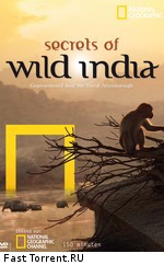 Тайны дикой природы Индии: Львы пустыни