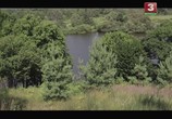 Фильм Одолень-трава (2014) - cцена 2