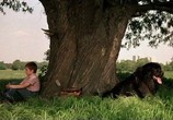 Фильм Мальчик с большой чёрной собакой / Der Junge mit dem großen schwarzen Hund (1986) - cцена 9