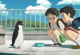 Мультфильм Тайная жизнь пингвинов / Penguin Highway (2018) - cцена 5