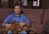 ТВ Animal Planet: Введение в собаковедение / Animal Planet: Dogs 101 (2008) - cцена 2