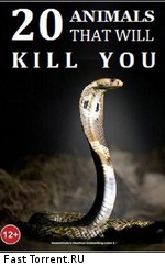 Nat Geo Wild: 20 животных, которые могут вас убить