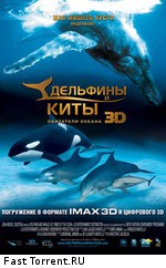 Дельфины и киты / Dolphins and Whales 3D: Tribes of the Ocean (2008)